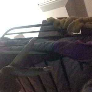 Meet your Posher, Lilly